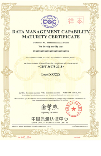 数据管理能力成熟度认证证书_01