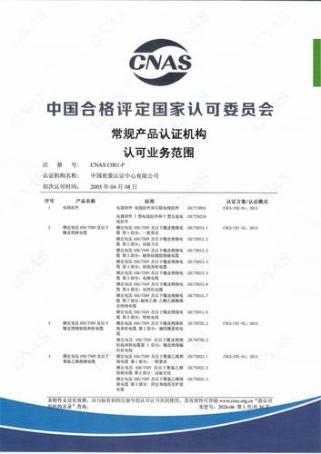 CNAS认可证书业务范围附件中文 (1)