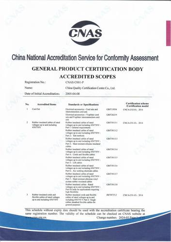CNAS认可证书附件英文（2024-05） (1)